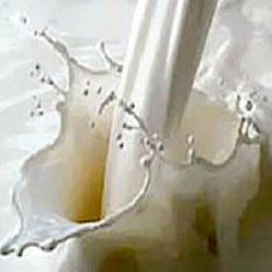 Кислота молочная пищевая 80%, 25 мл В косметических смесях выступает кондиционирующим и увлажняющим агентом, в больших концентрациях - как мягкий пилинг, в твердом мыле стабилизирует пенообразование, добавляет "глянцевость" и пластичность.